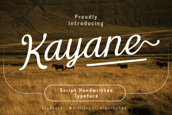 Kayane: A Script Amp for Real Design Work