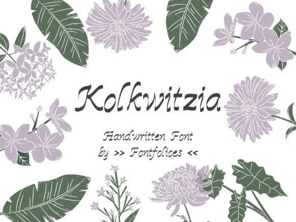 Kolkwitzia: A Font That Elevates Your Brand