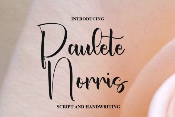 Paulete Norris: A Handwritten Font for Web Design